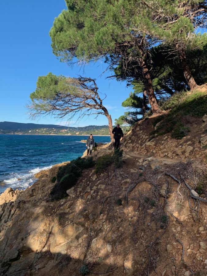 L'Aile Du Chateau Ramatuelle Eksteriør billede